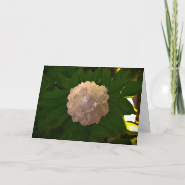 Cartão Peony, carta (Frente)