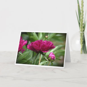 Cartão Peony, carta