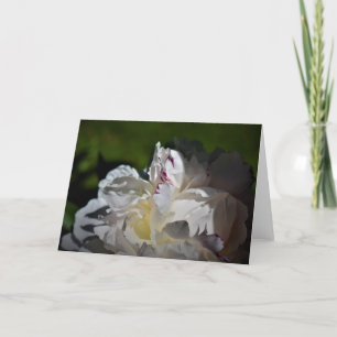 Cartão Peony, carta