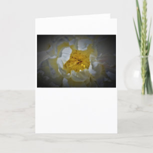 Cartão Peony, carta