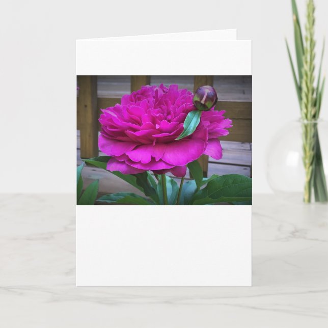 Cartão Peony, carta (Frente)