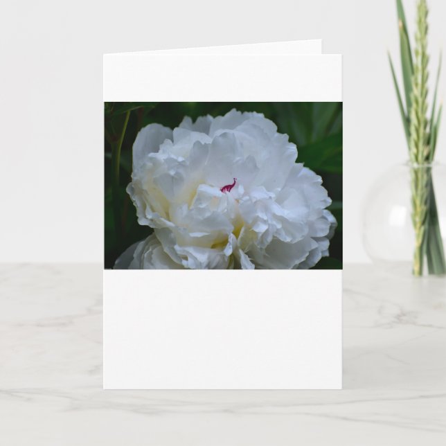 Cartão Peony, carta (Frente)