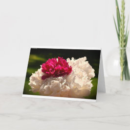 Cartão Peony, carta