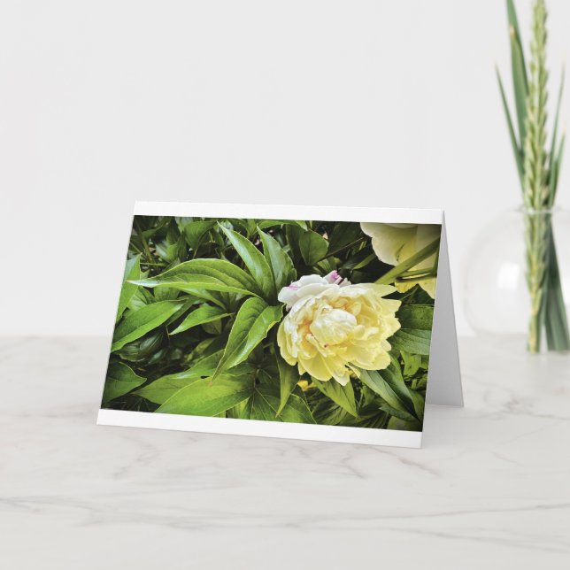 Cartão Peony, carta (Frente)