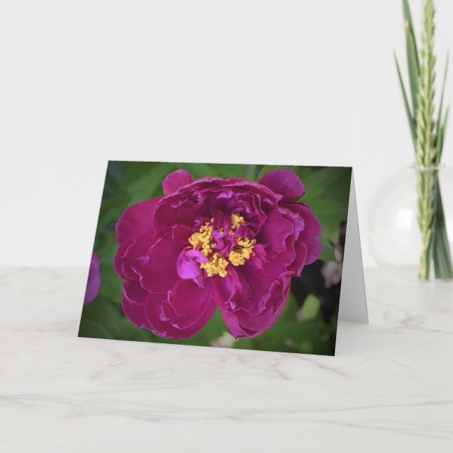 Cartão Peony, carta (Frente)
