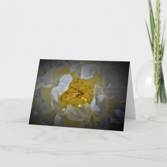 Cartão Peony, carta (Frente)