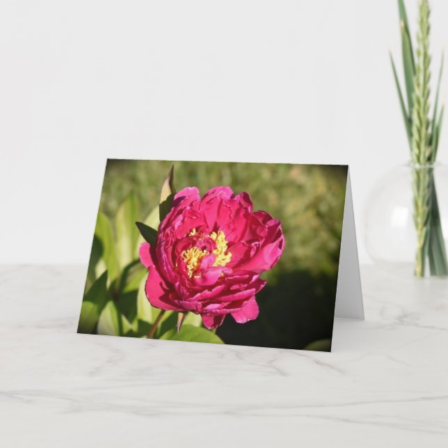Cartão Peony, carta (Frente)