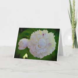 Cartão Peony, carta