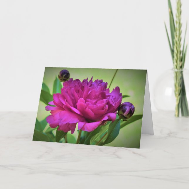 Cartão Peony, carta (Frente)