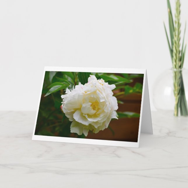 Cartão Peony, carta (Frente)