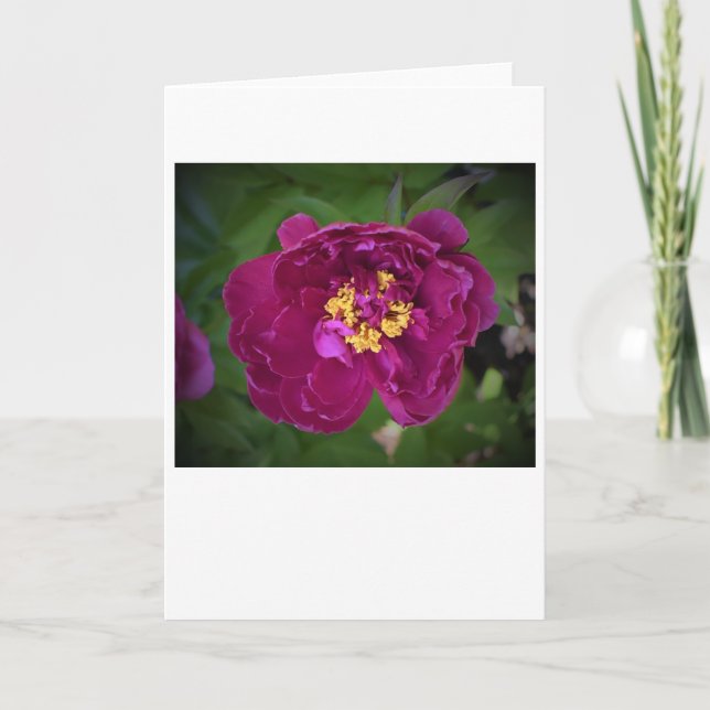 Cartão Peony, carta (Frente)