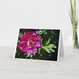 Cartão Peony, carta
