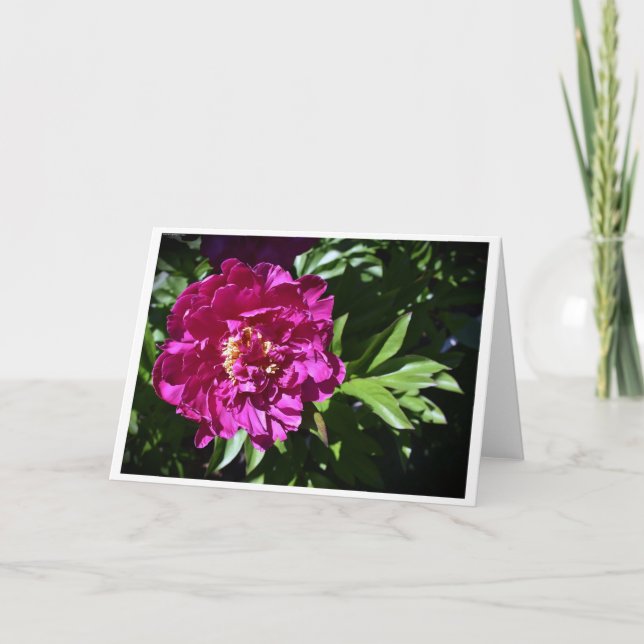 Cartão Peony, carta (Frente)