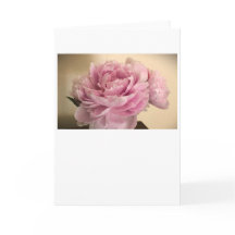 Peony, carta