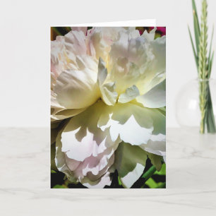 Cartão Peony, carta