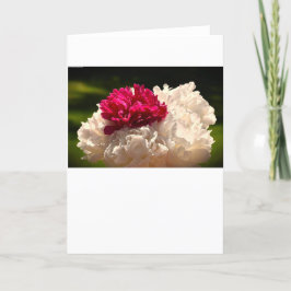 Cartão Peony, carta