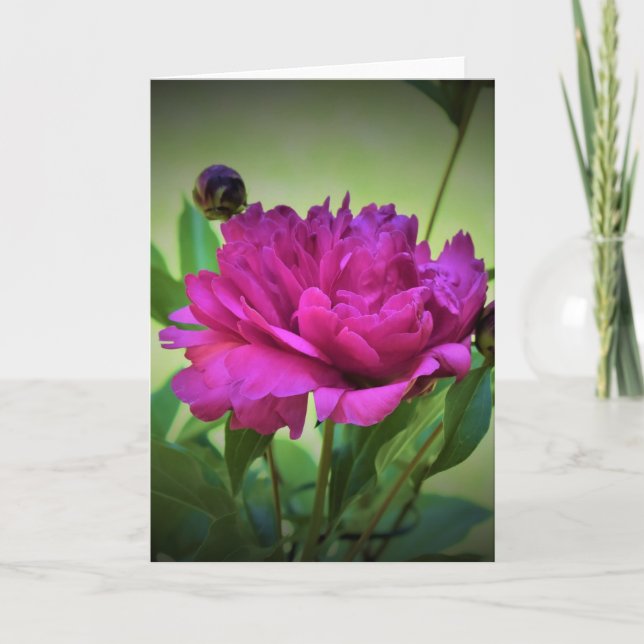 Cartão Peony, carta (Frente)