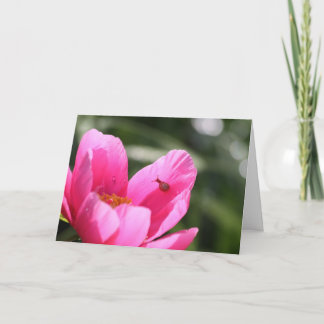 Cartão Peony "Chameleon"