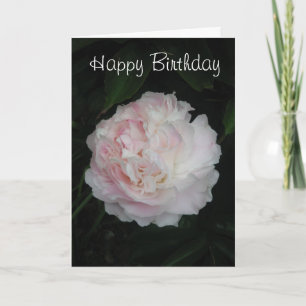 Cartão Peony Rose Birthday Card