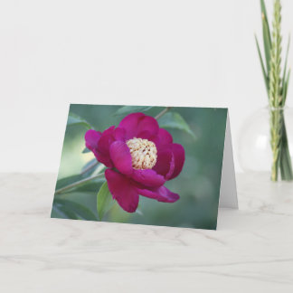 Cartão Peony "Sword Dance"