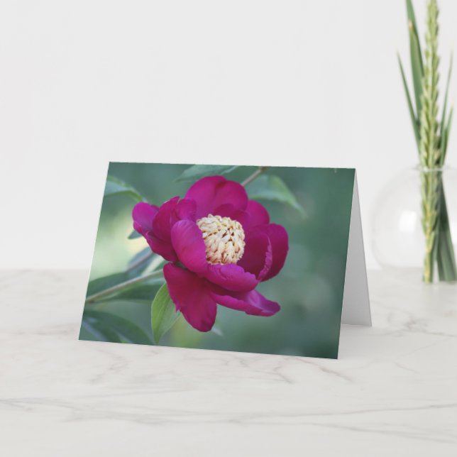 Cartão Peony "Sword Dance" (Frente)