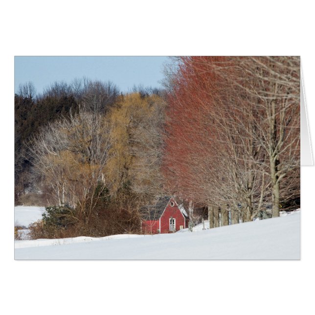 Cartão Pequena Casa Vermelha (Frente Horizontal)