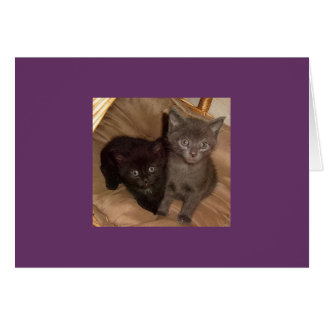 Cartão Pequena Cinza Negra