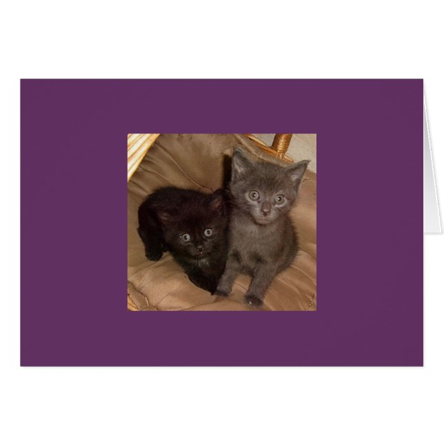 Cartão Pequena Cinza Negra (Frente Horizontal)