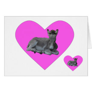 Cartão Pequena Cinza, Pé de Cachorro no Coração Rosa G