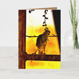 Cartão Pequena Finch