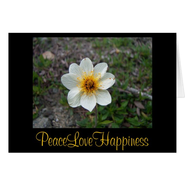 Cartão Pequena Flor Branca (Frente Horizontal)