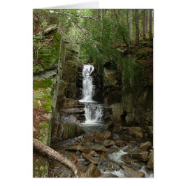 Cartão Pequena Placa Flume