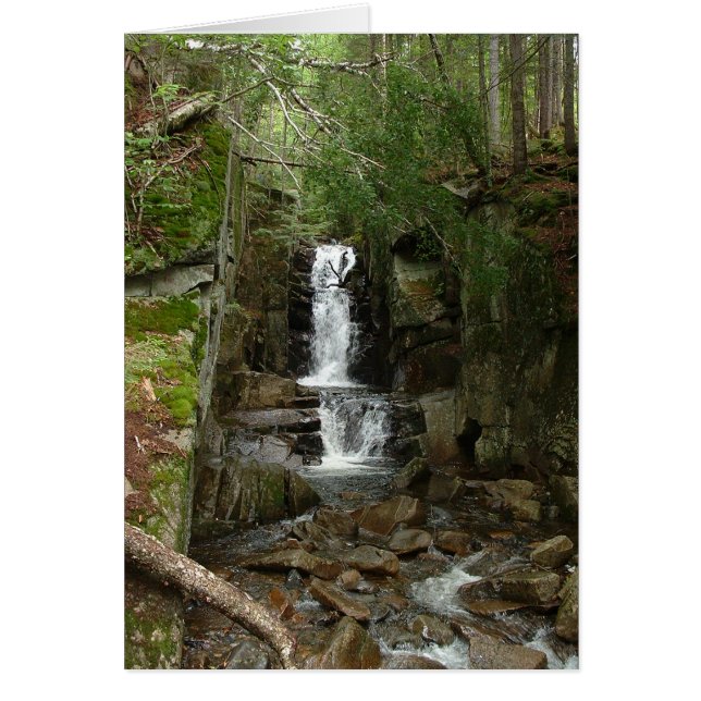 Cartão Pequena Placa Flume (Frente)