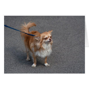 Cartão Pequena Ruiva