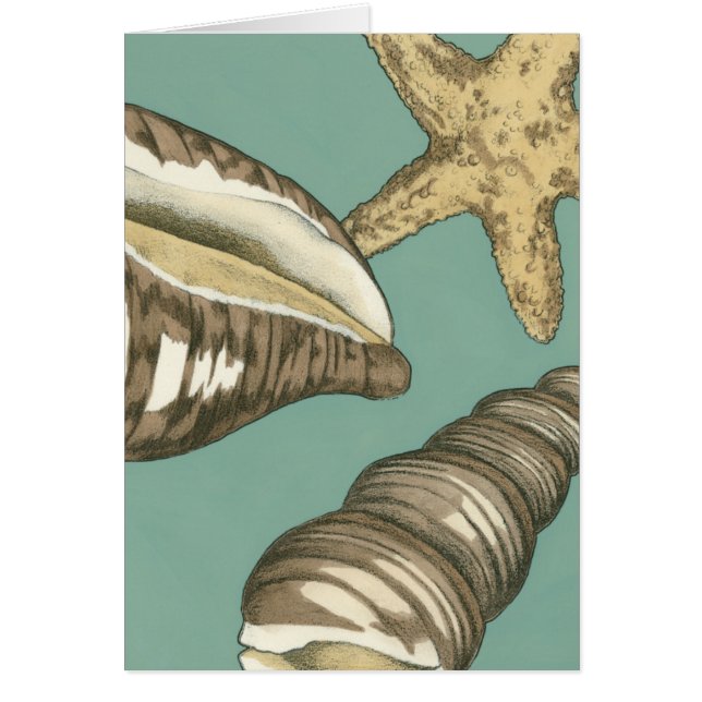 Cartão Pequena Shell Trio no Teal (Frente)
