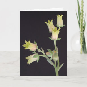 Cartão Pequenas floridas durante a Quaresma