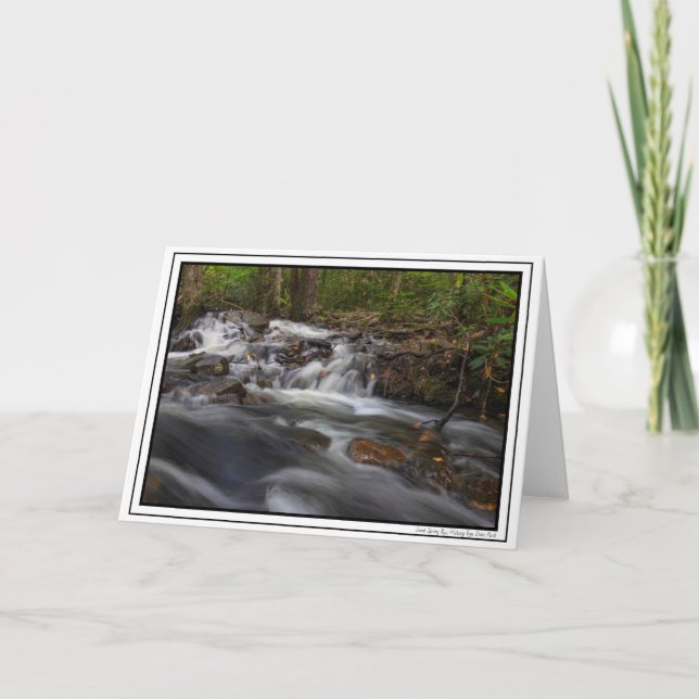 Cartão Pequenas quedas na Primavera de areia (Frente)