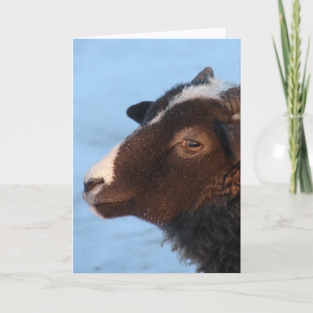 Cartão Pequeno (Frente)