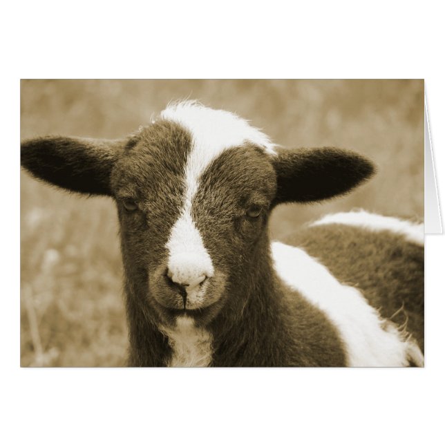 Cartão Pequeno (Frente Horizontal)