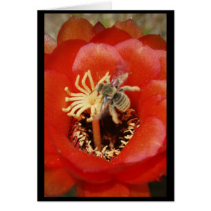 Cartão Pequeno almoço da abelha