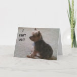 CARTÃO PEQUENO CACHORRO COM GRANDE DESEJO DE ANIVERSÁRIO<br><div class="desc">Este Yorkie não pode esperar para enviar um GRANDE DESEJO para o ANIVERSÁRIO de SEU amigo ou parente :)</div>