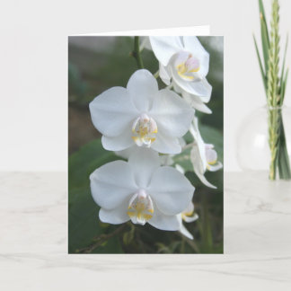 Cartão pequeno de três empregadas domésticas