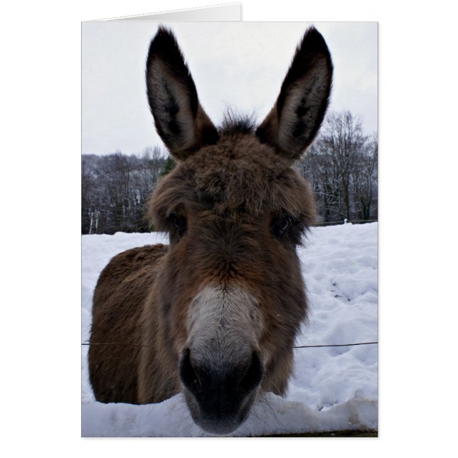 Cartão Pequeno Donkey (Frente)