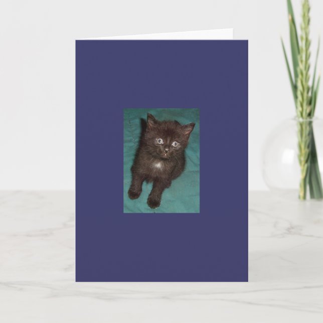 Cartão Pequeno Gatinho Preto (Frente)