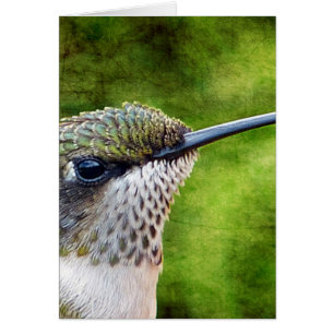 Cartão Pequeno Hummer