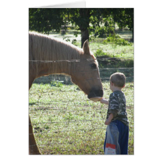 Cartão Pequeno Menino Alimentando Cavalo