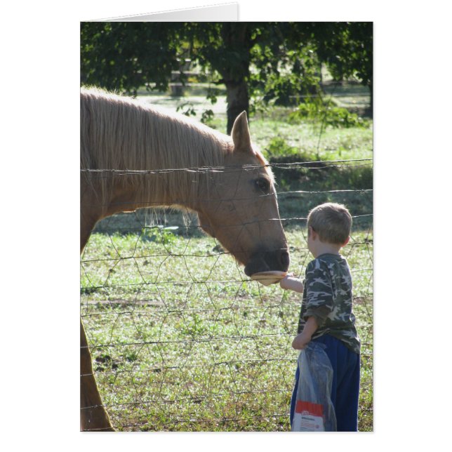 Cartão Pequeno Menino Alimentando Cavalo (Frente)