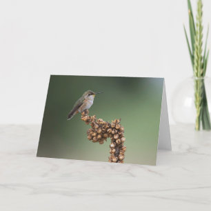 Cartão Pequeno pássaro-do-sol