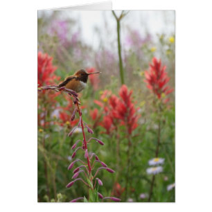 Cartão Pequeno pássaro gordo