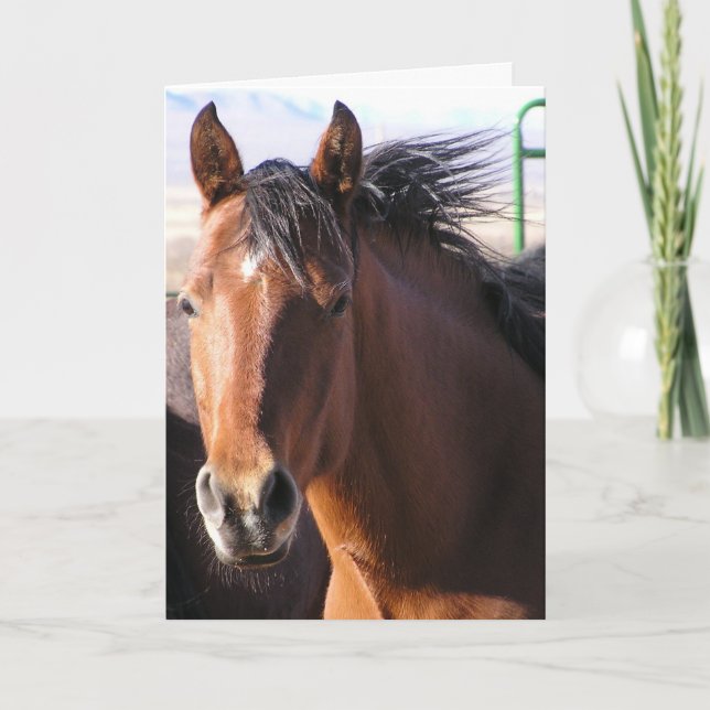 Cartão Pequeno Pouco (Frente)